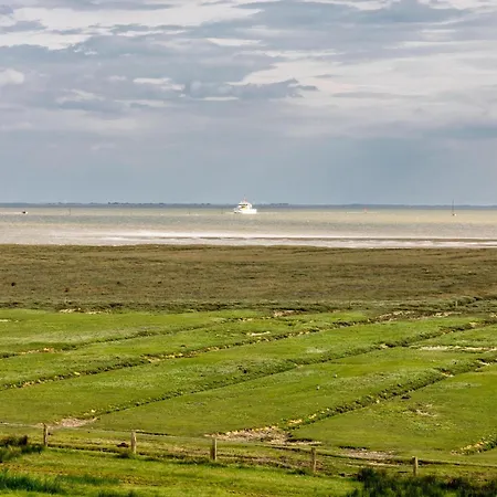 Residenz Am 24c Graugans Juist